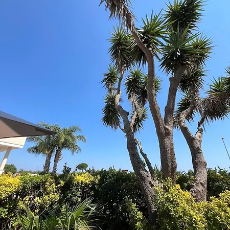 Thalassa Apartmán *